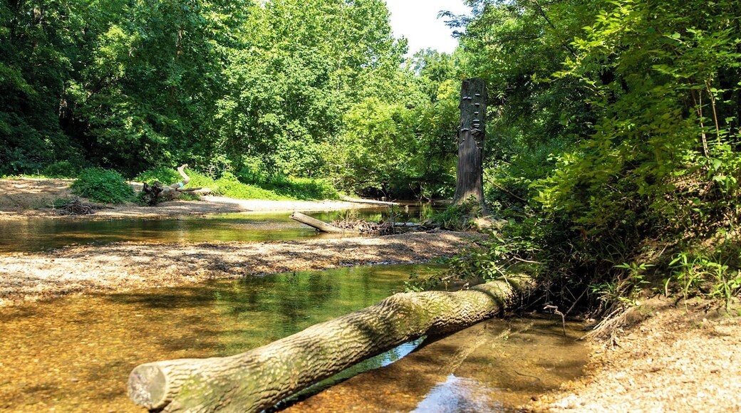 Mastodon State Historic Site.