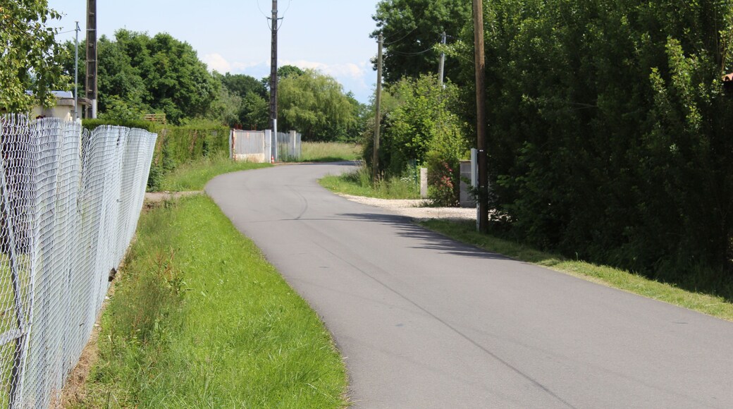Route des Lys, Saint-Cyr-sur-Menthon.