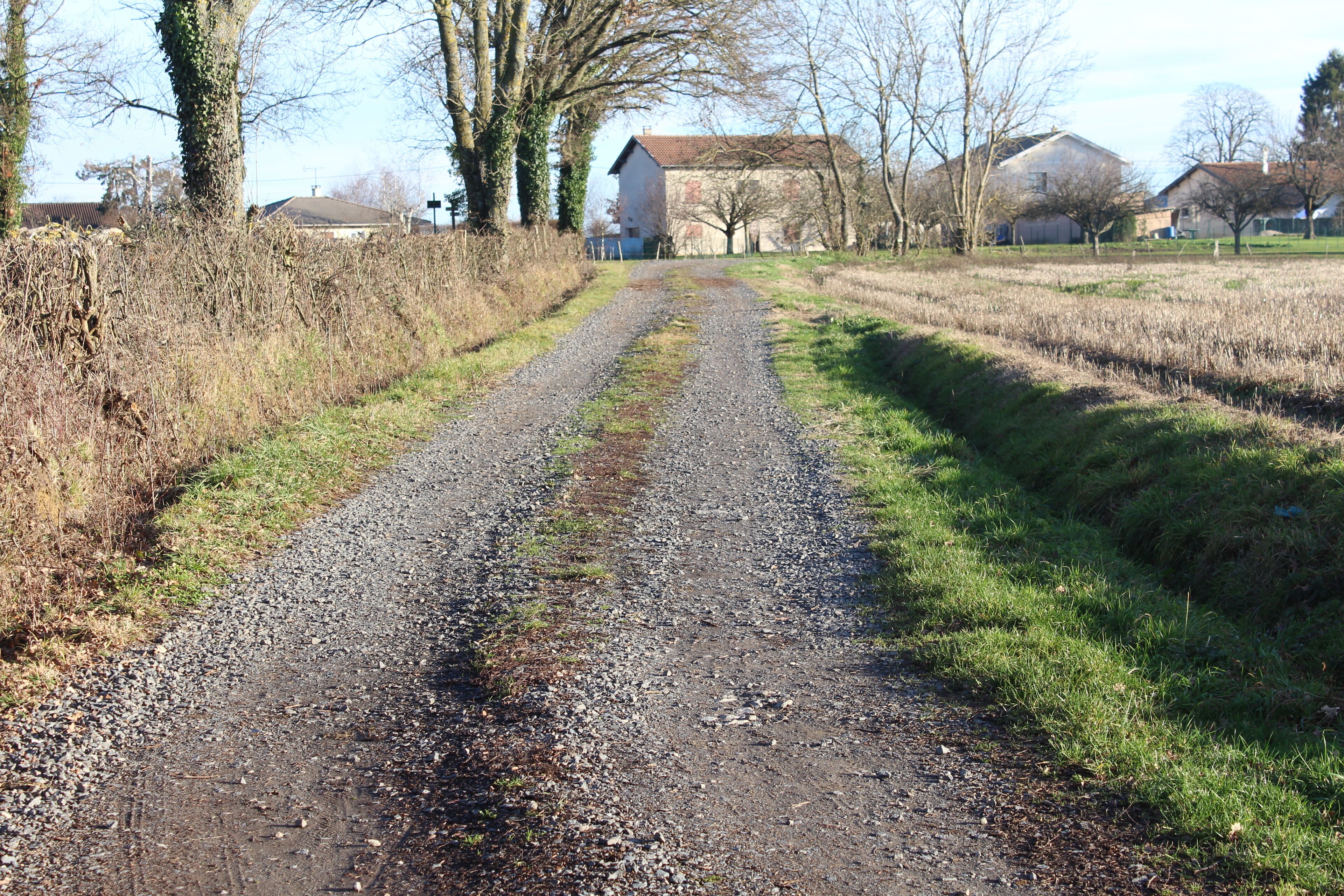 Chemin des Prêles, Saint-Cyr-sur-Menthon.