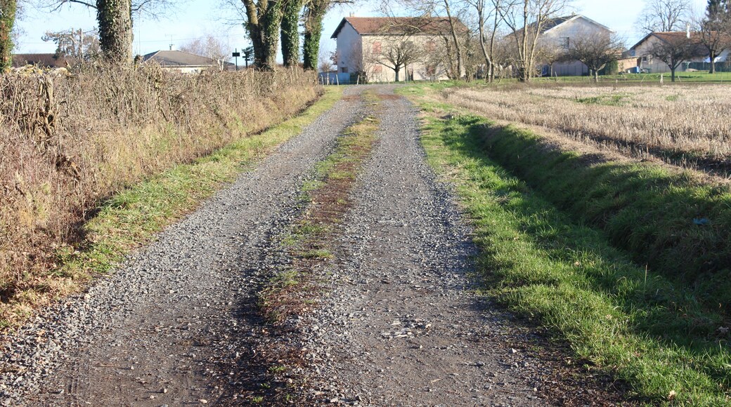 Chemin des Prêles, Saint-Cyr-sur-Menthon.