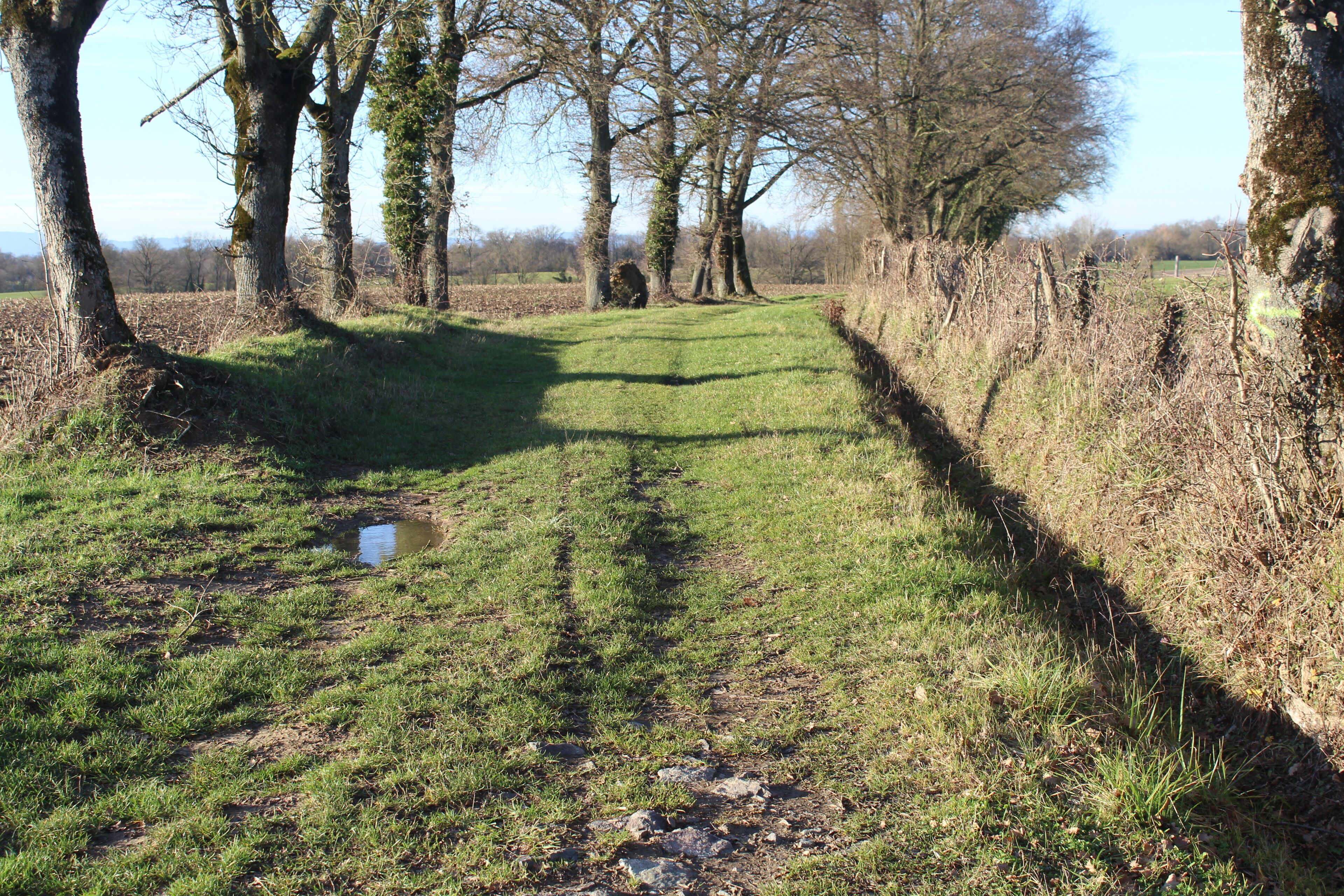 Chemin du Pré-Mort, Saint-Cyr-sur-Menthon.