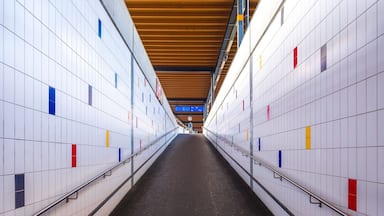 Biel/Bienne train station - in addition to this Mondrian inspired track, it also has a waiting room with the original decorations from the 1920s ! #architecture