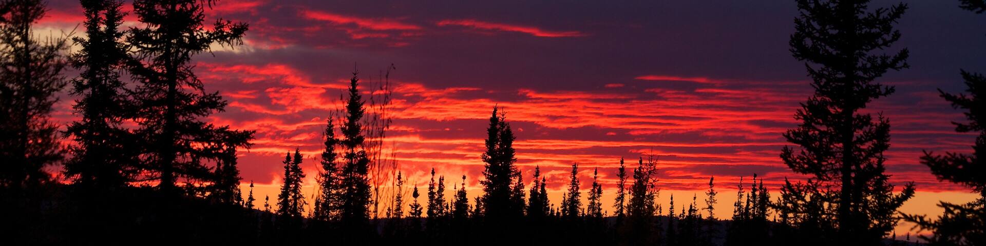 Red sunset behind forest and dark clouds near Fairbanks