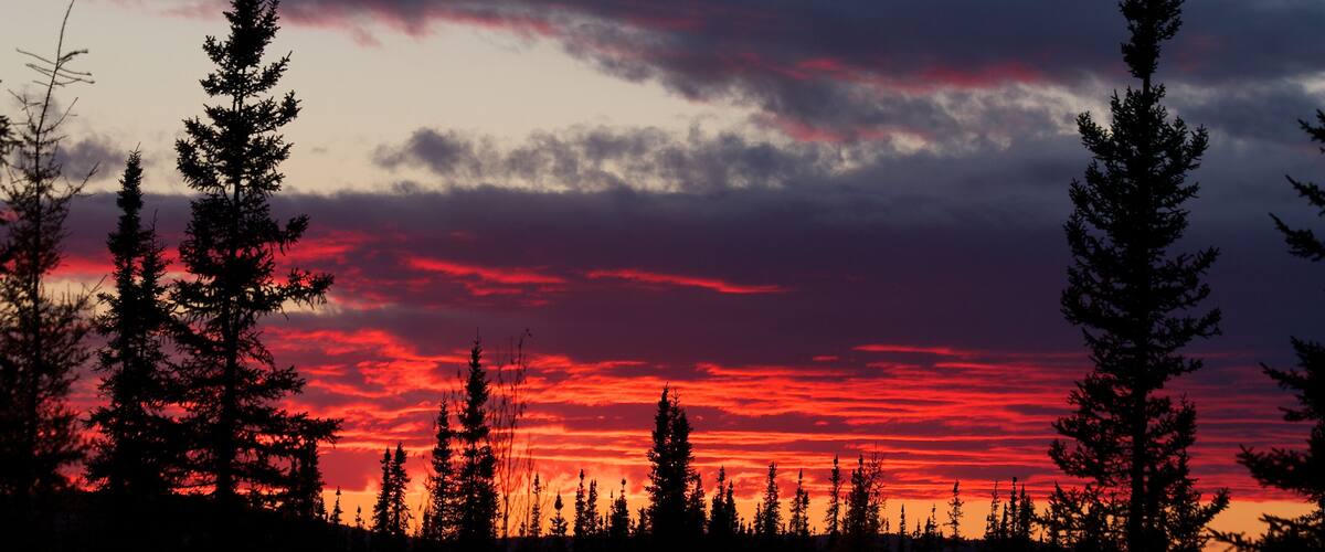 Red sunset behind forest and dark clouds near Fairbanks