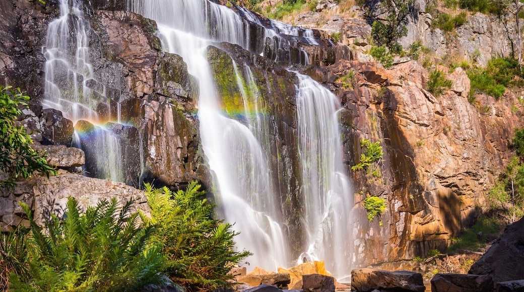 Stunning afternoon light poured into the valley, lighting up the falls perfectly, even providing a nice touch with the rainbow 😊