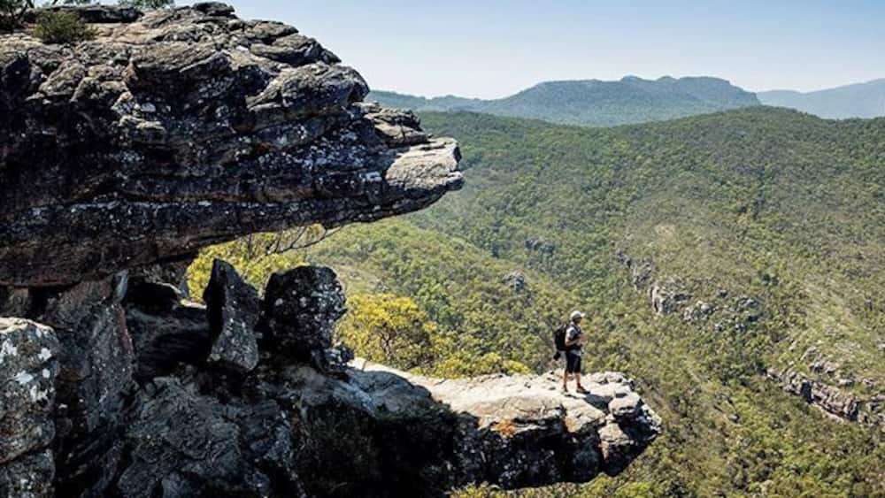 A person standing on a rock formation with a view of a forested valley and distant mountains.