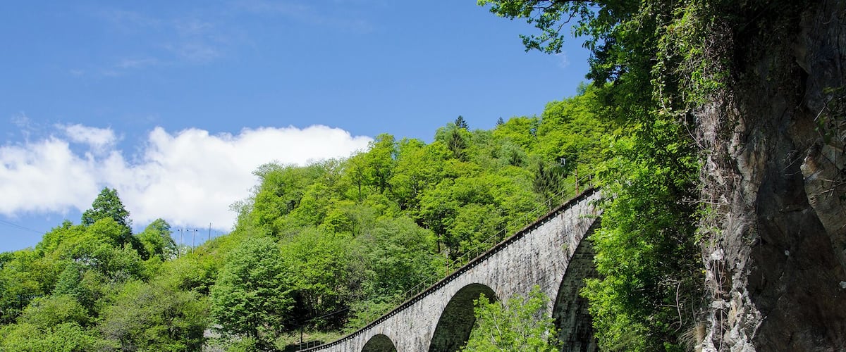 Progetto Parco Nazionale del Locarnese - Bridge railway Centovalli