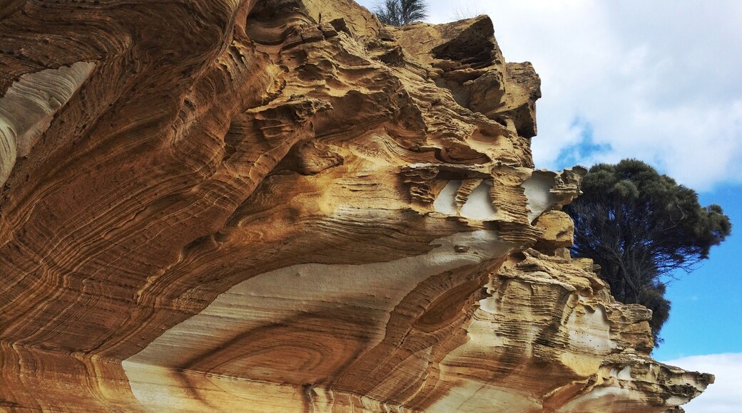 A ferry out of Triabunna. A cycle from Darlington. A hop, skip and a jump across the rocks. Then you've placed yourself nicely in front of all the Painted Walls of Maria Island in Tasmania - just check its low tide first for the best viewpoints!