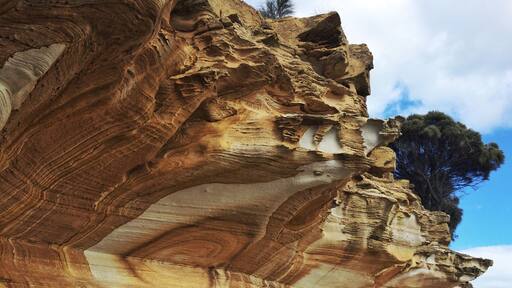 A ferry out of Triabunna. A cycle from Darlington. A hop, skip and a jump across the rocks. Then you've placed yourself nicely in front of all the Painted Walls of Maria Island in Tasmania - just check its low tide first for the best viewpoints!