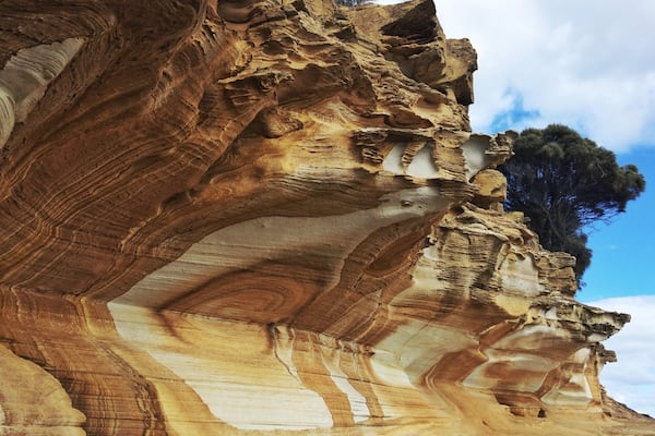A ferry out of Triabunna. A cycle from Darlington. A hop, skip and a jump across the rocks. Then you've placed yourself nicely in front of all the Painted Walls of Maria Island in Tasmania - just check its low tide first for the best viewpoints!