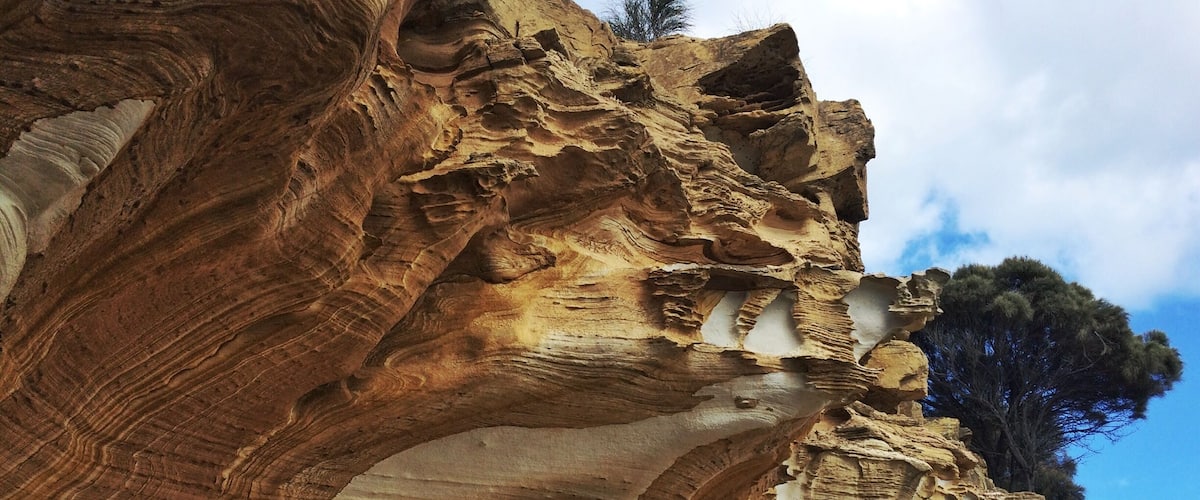 A rock formation with layered sedimentary patterns and a tree in the background.