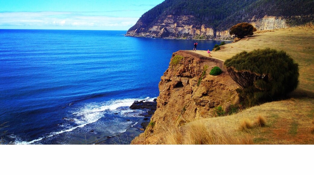 Maria Island in Tasmania is a national park. It has abundant wildlife, historic ruins, rugged cliffs. The ruins are from convict settlements during the 19th century. #tasmania #nationalpark #hiking #nature #weekendgetaway