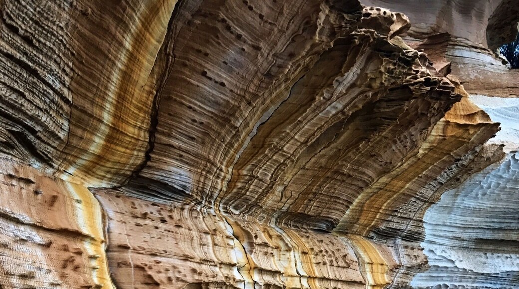 One thing for sure to see when visiting Maria Island NP in Tasmania! #TakeaHike