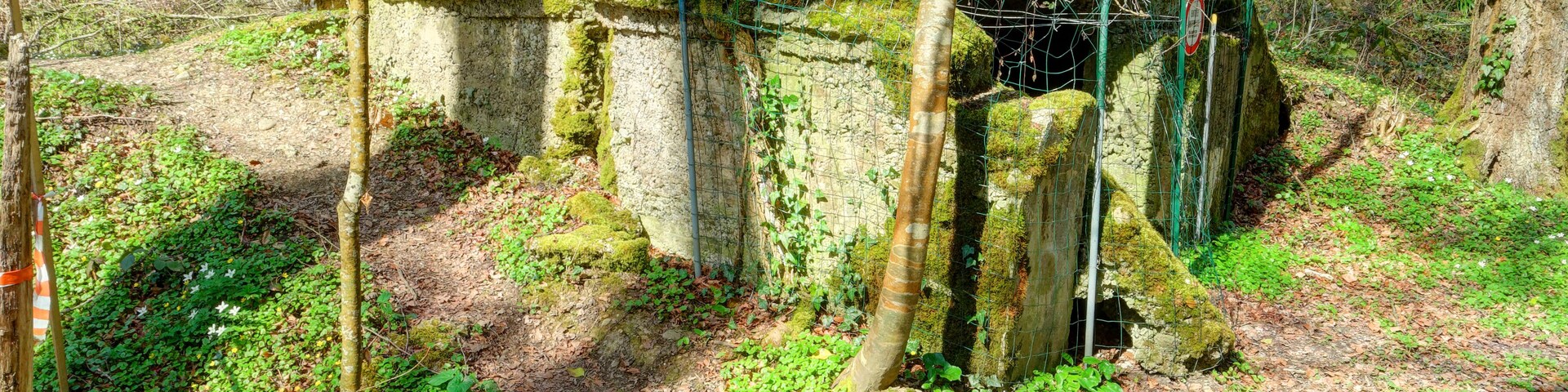 This file was uploaded with Commonist. Sentier du Km Zéro : première position allemande du front (HDR).