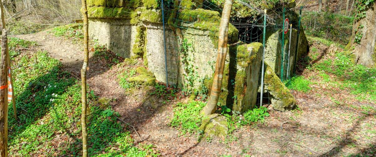 A moss-covered stone structure in a forest.