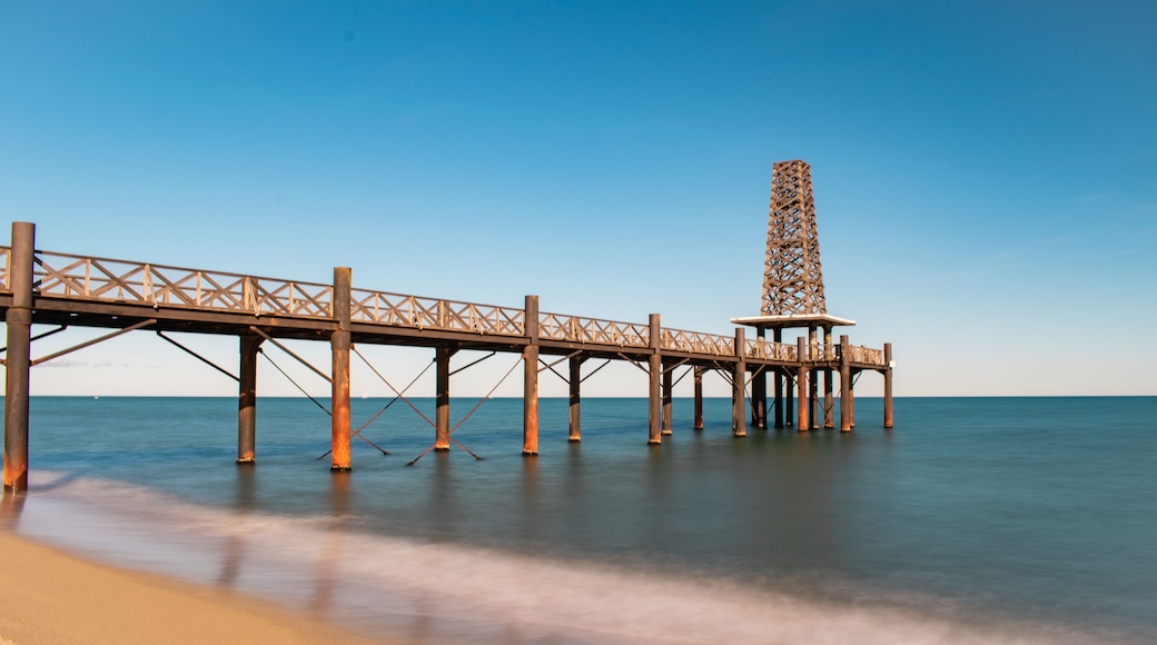 Leucate