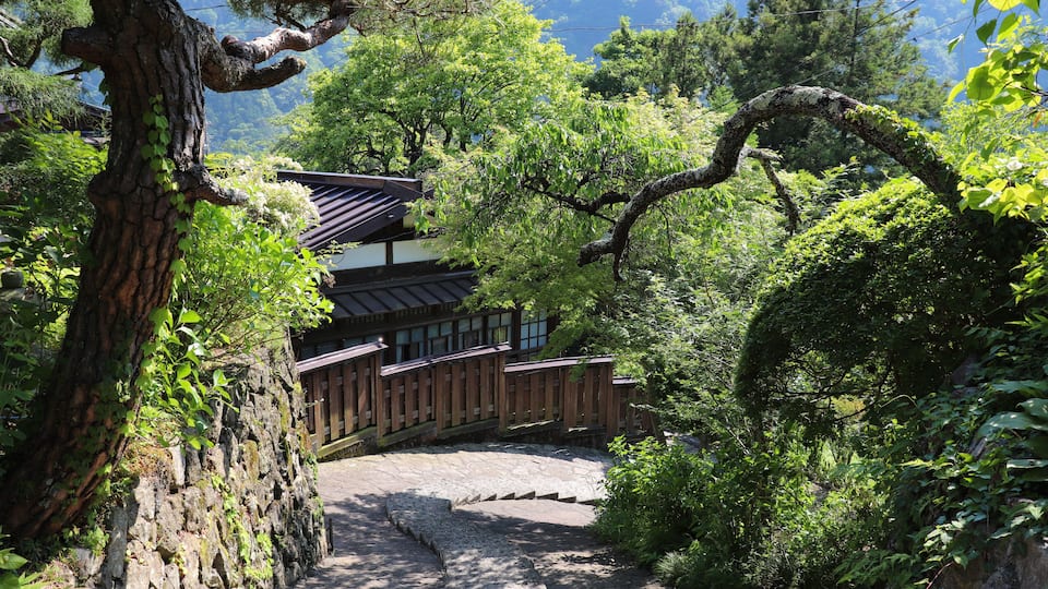 A traditional Japanese building surrounded by lush greenery and a stone pathway.