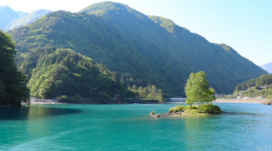 Hayakawa