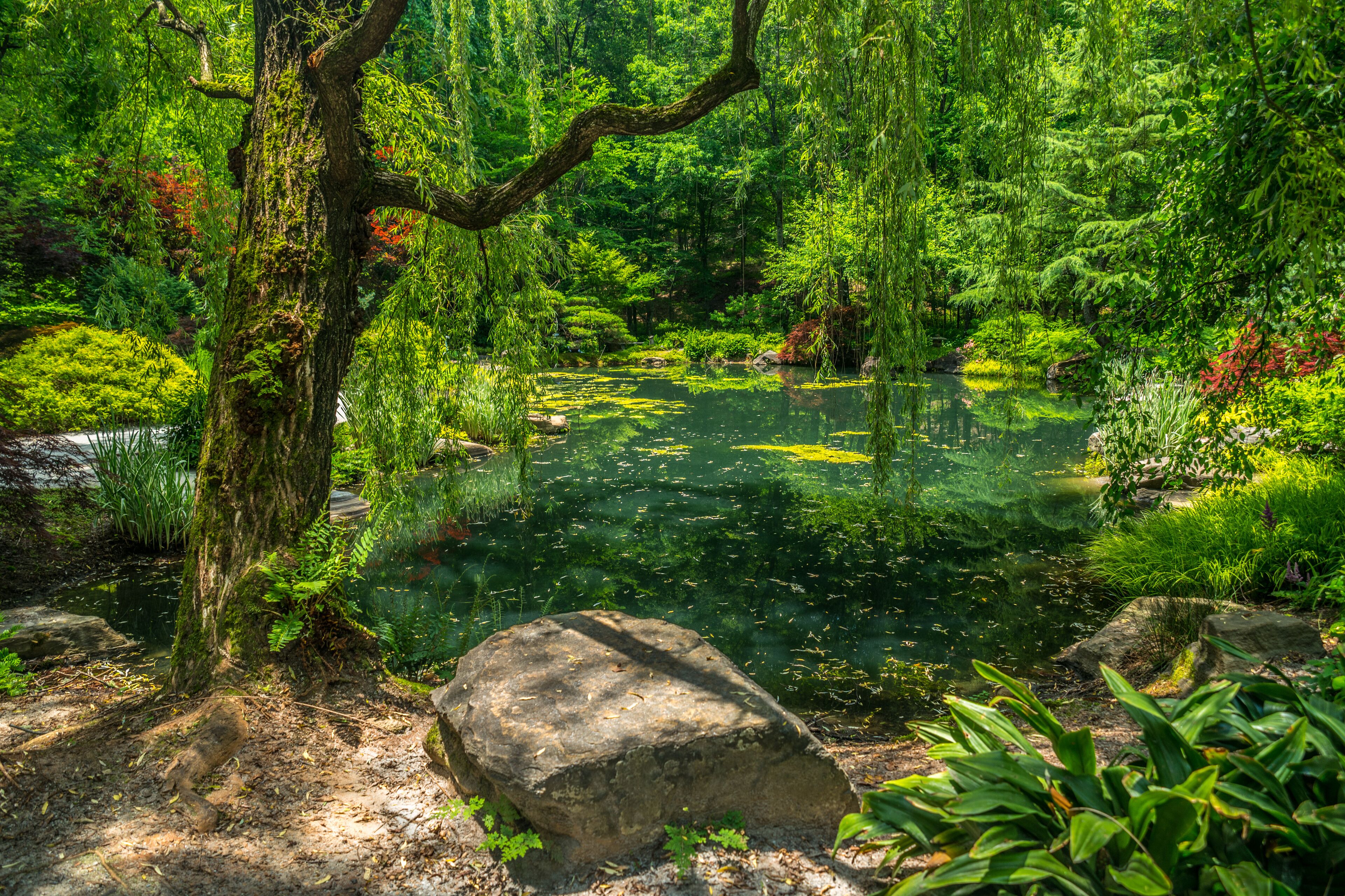 Ball Ground, Georgia/USA-06/08/18 Gibbs gardens in summertime