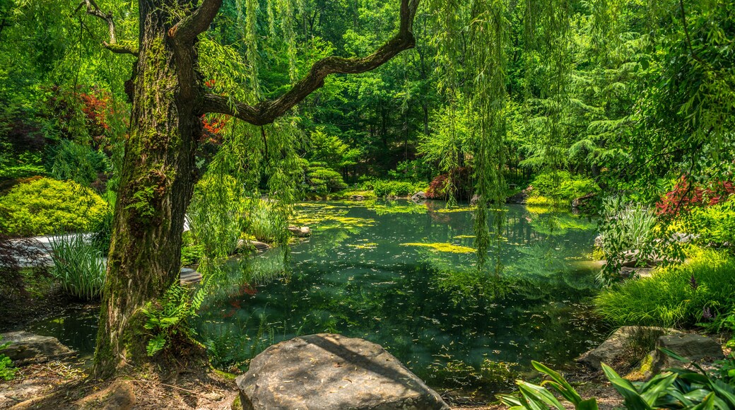 Ball Ground, Georgia/USA-06/08/18 Gibbs gardens in summertime