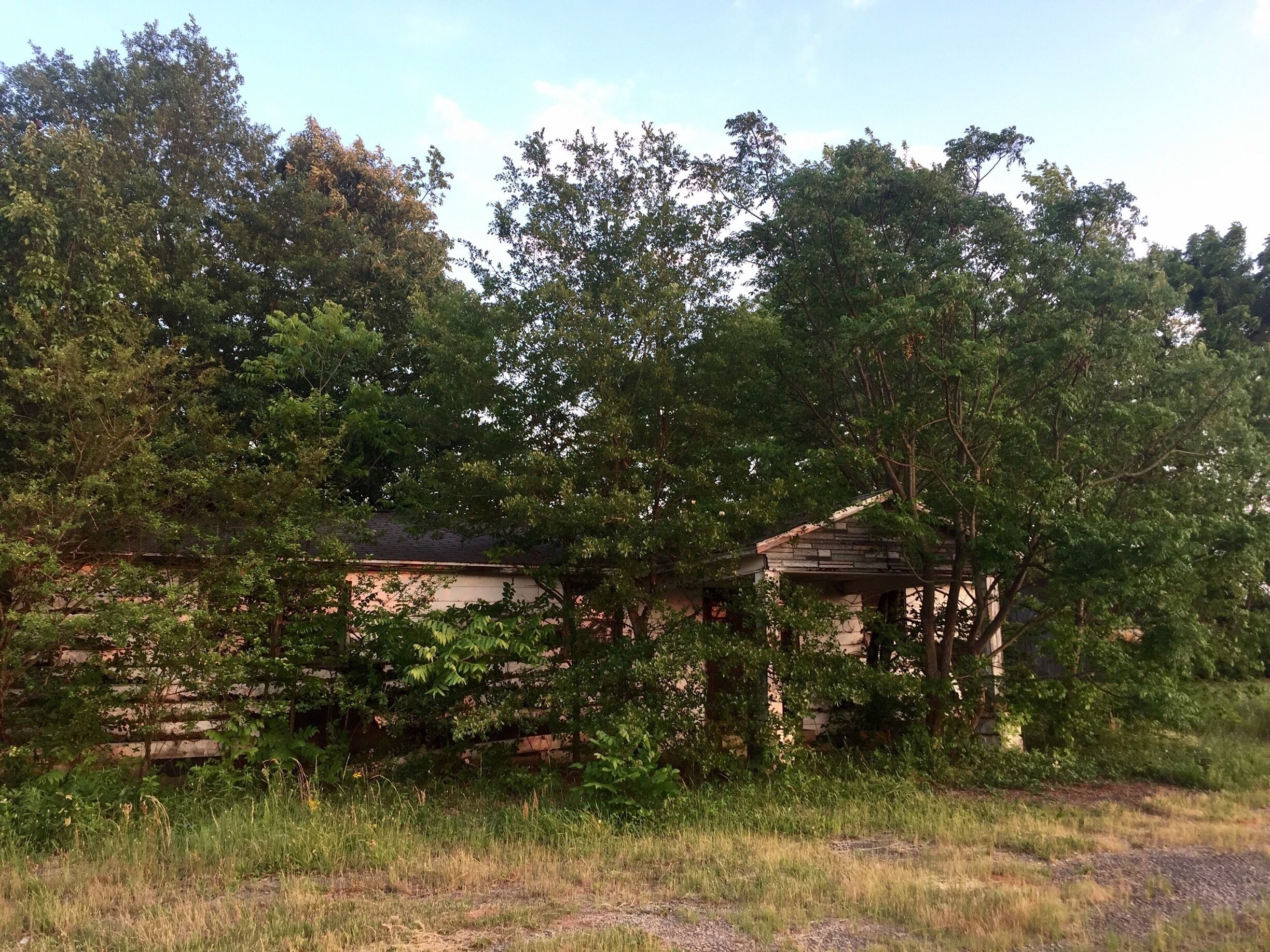 I wonder how long it's been since this home has been occupied. 