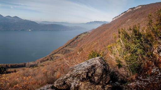 Brison-Saint-Innocent