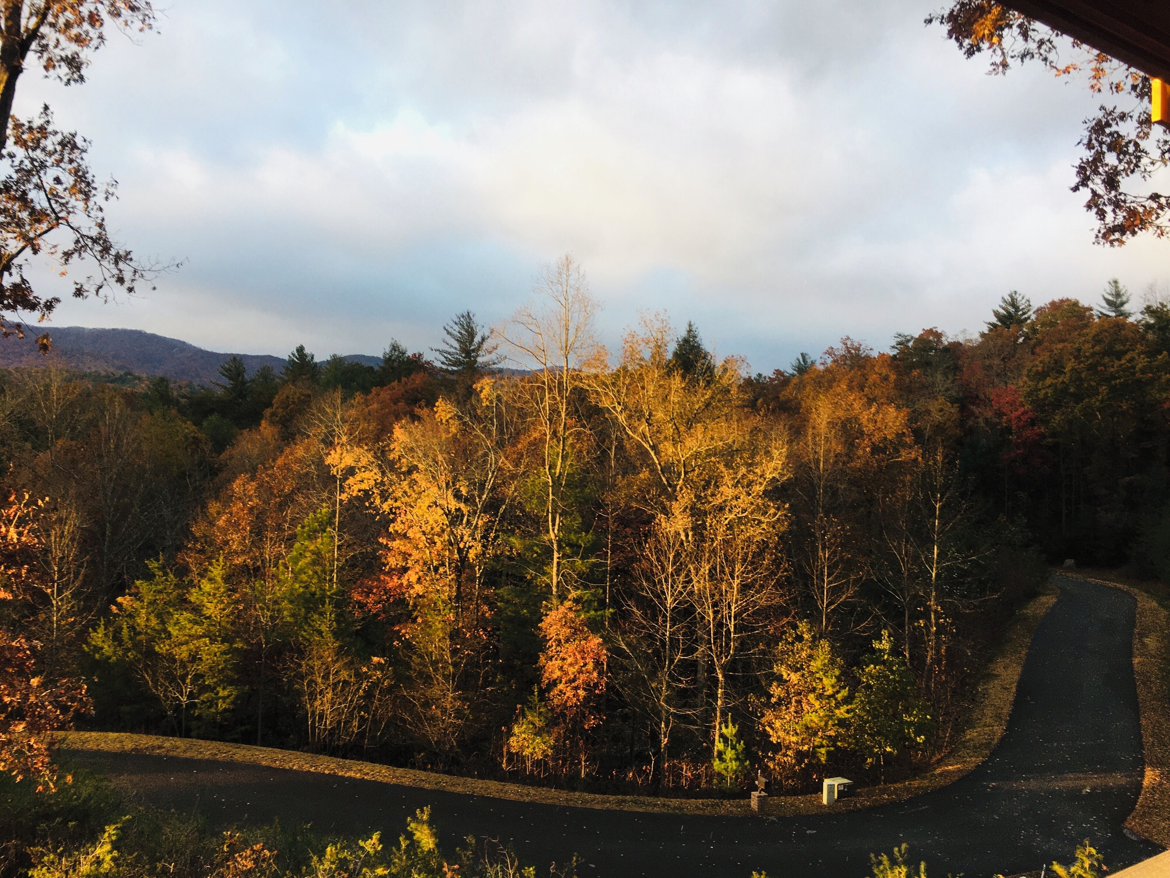 Fall into Winter as the tree lose their leaves and the day loses it’s light.