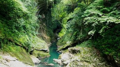 Georgia, mountain river, view from above, around green forest.
