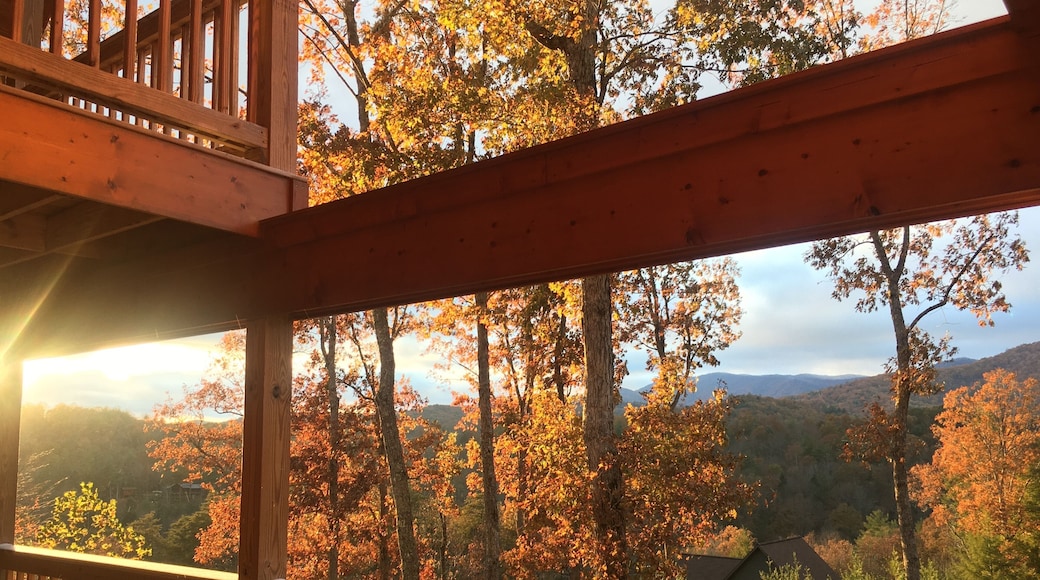 Last rays of the day.
#trovember