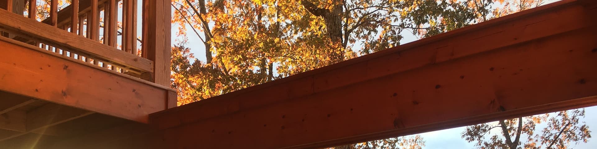 Last rays of the day.
#trovember