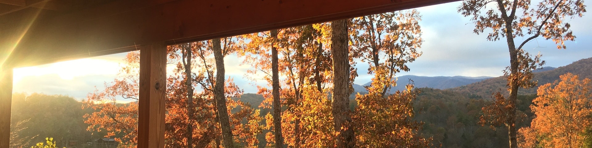 Last rays of the day. 
#trovember