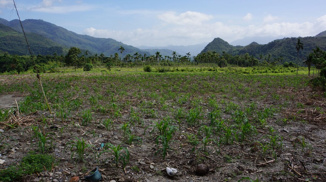 Hongye Village 紅葉村