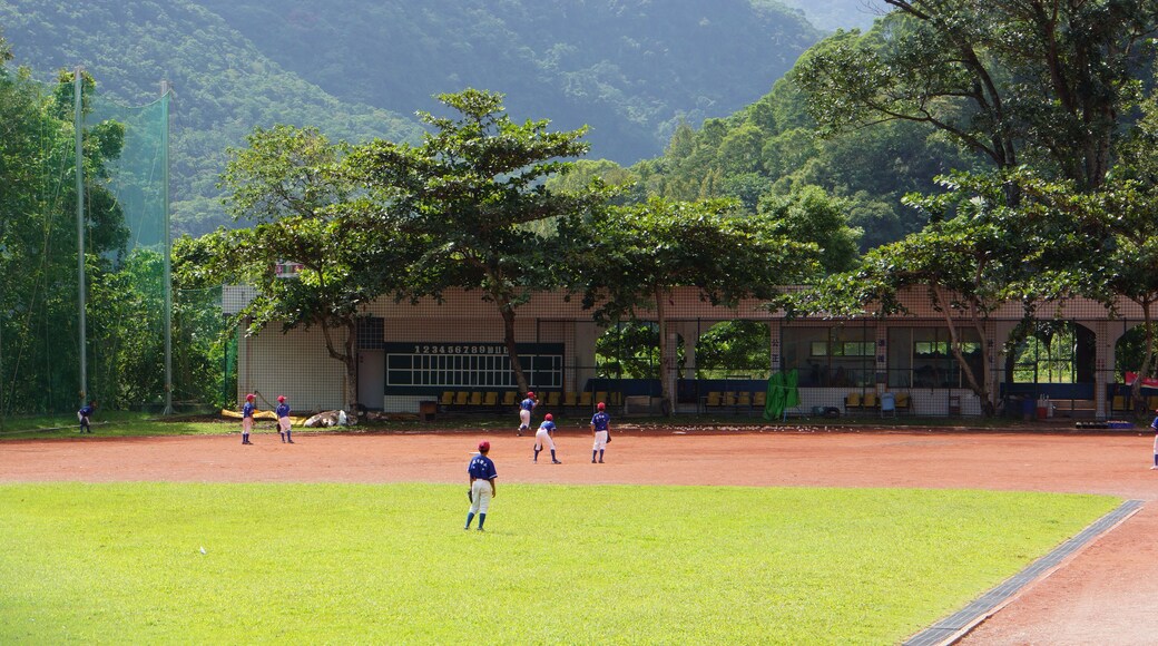 紅葉少棒 Hongye Little League