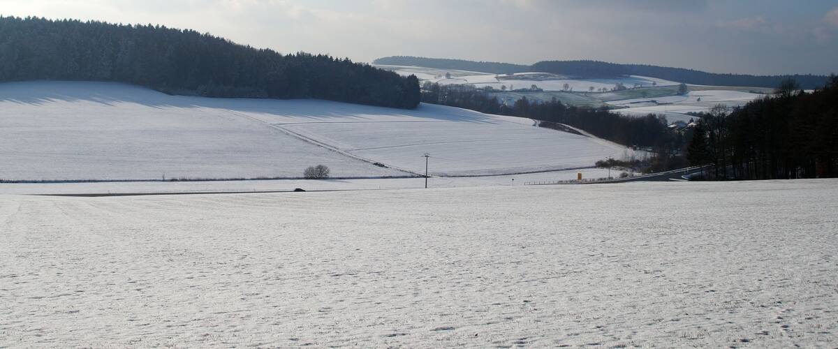 A snow-covered field with distant trees and a clear sky.