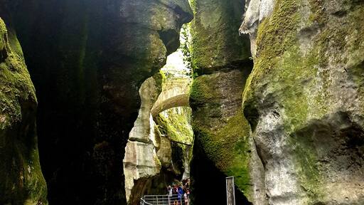 Can you see the face in the rock???