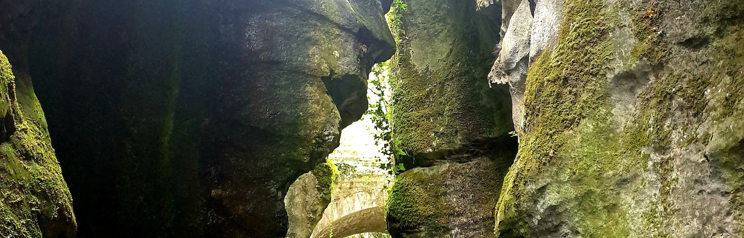 Can you see the face in the rock???