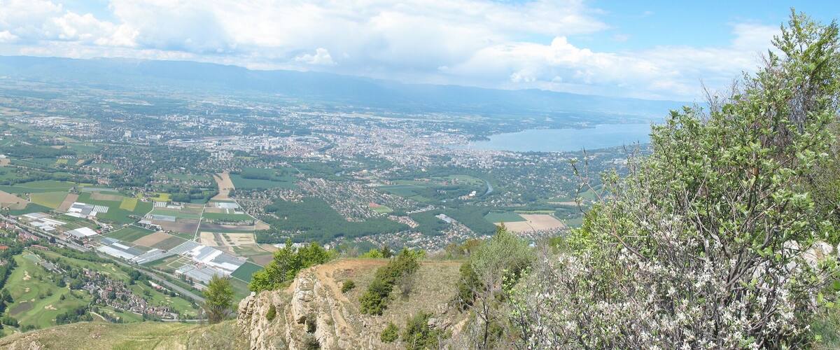 A panoramic view of a valley with a river, fields, and a town.
