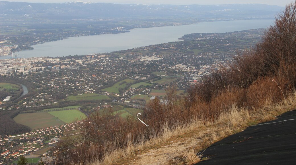 View on Geneva from the Salève