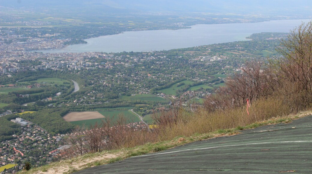 View on Geneva from the Salève