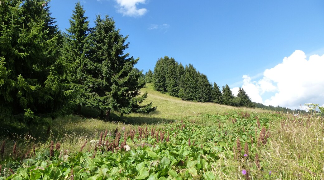 sur les pentes du mont bisanne