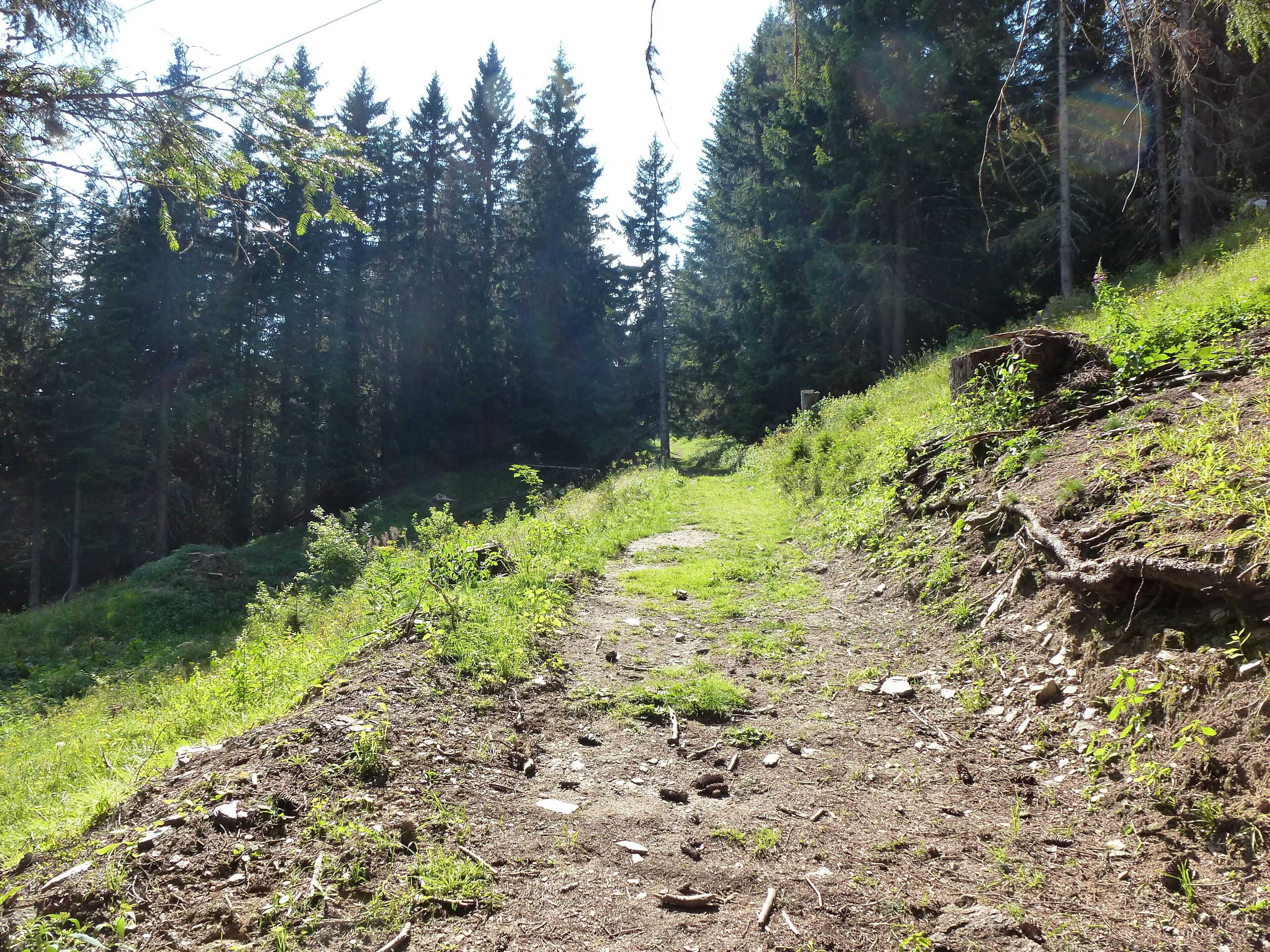 le sentier du tour du mont bisanne
