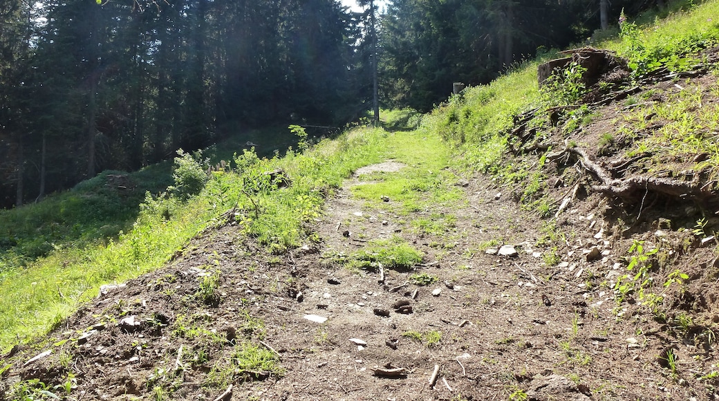 le sentier du tour du mont bisanne