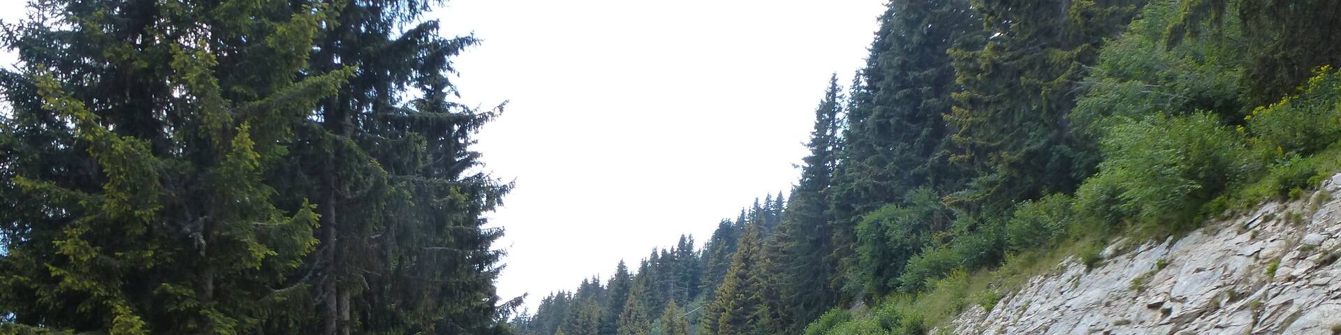 le sentier du tour du mont bisanne