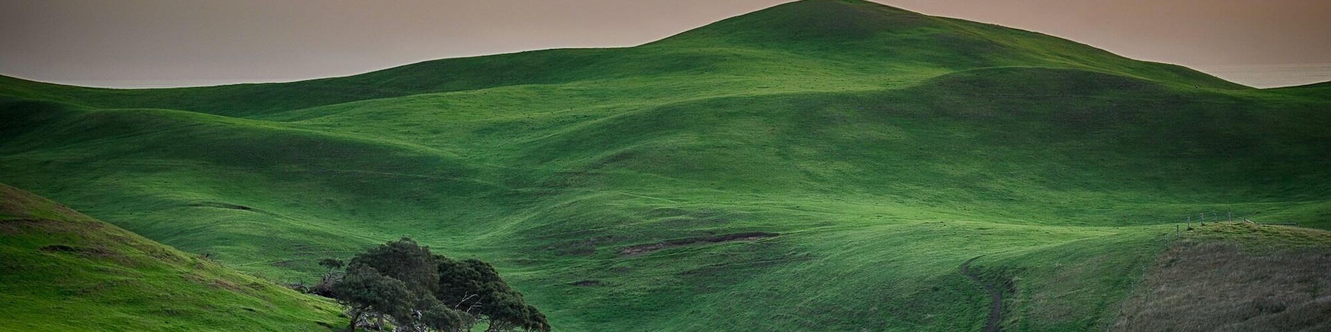 Rolling fields and beautiful landscapes abound in this part of the world. #landscape #green