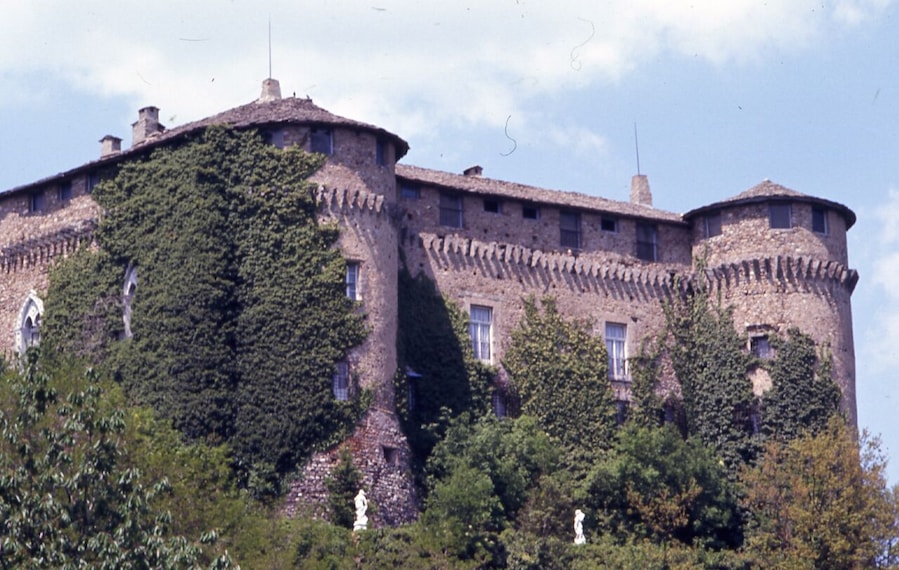 Een historisch stenen kasteel met muuroverhangende klimop en een ronde toren.