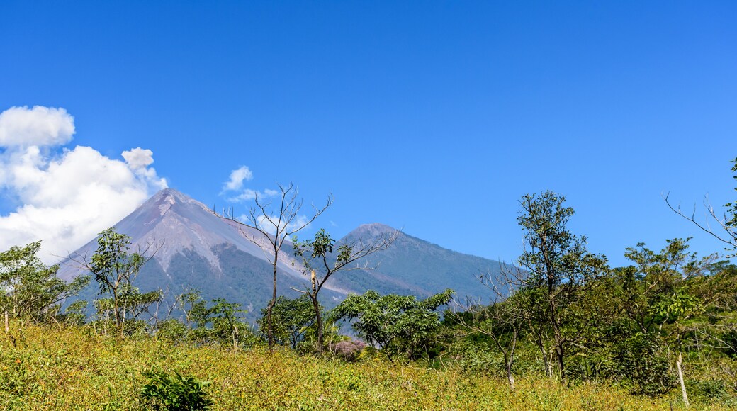 Active Fuego volcano puffs smoke with Acatenango volcano behind in Escuintla, Guatemala, Central America