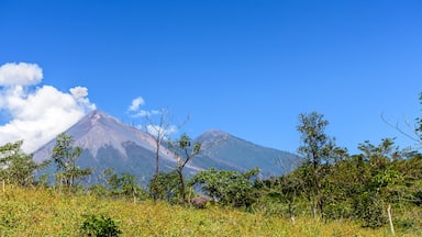 Active Fuego volcano puffs smoke with Acatenango volcano behind in Escuintla, Guatemala, Central America