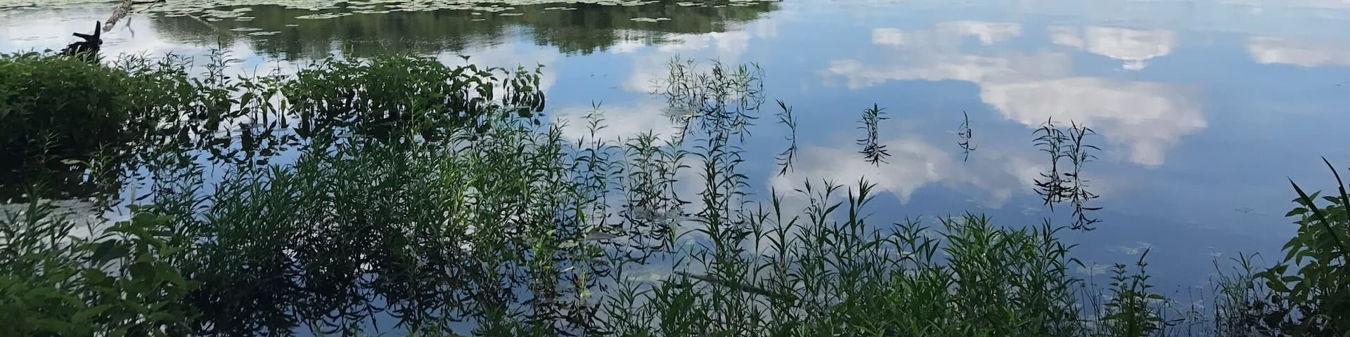 Enjoy a serene stroll around the #lake
#parks #stateparks #hiking