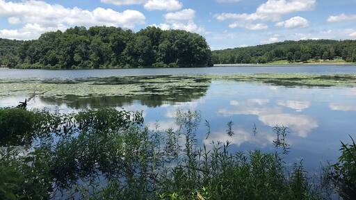 Enjoy a serene stroll around the #lake
#parks #stateparks #hiking