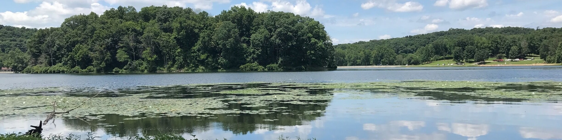 Enjoy a serene stroll around the #lake
#parks #stateparks #hiking